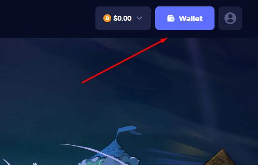 Duel Wallet after account creation